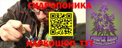 марки nbome Кингисепп