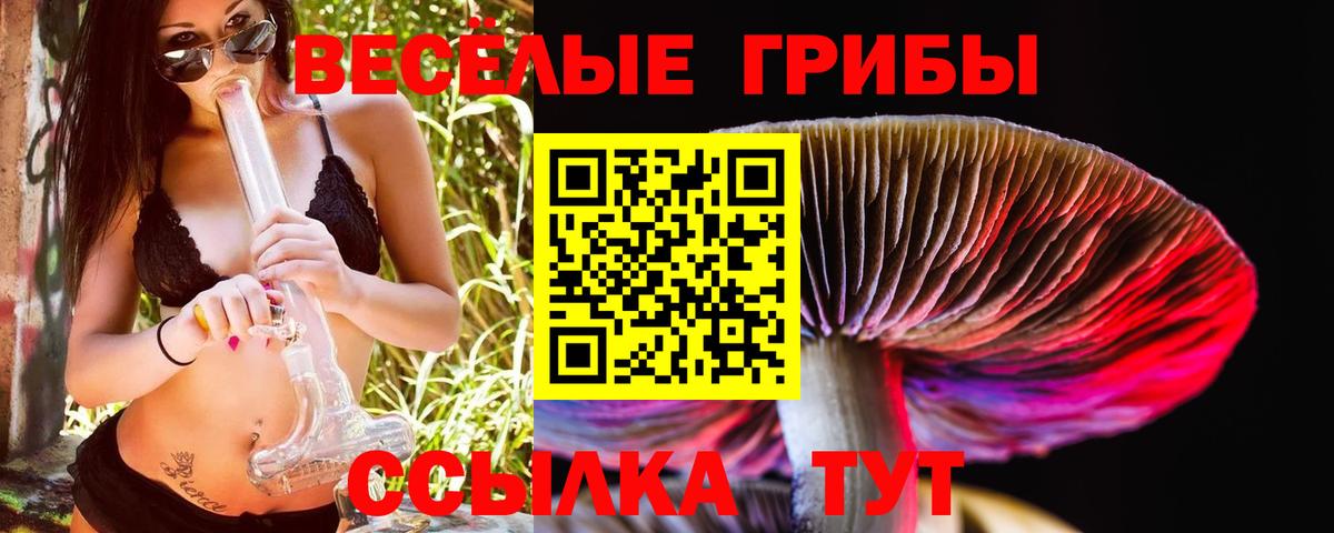 Галлюциногенные грибы Magic Shrooms Кимры